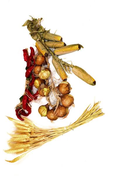 Осенний дары полей (кукуруза, лук, перец, колосья пшеницы)